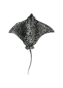 Spotted Eagle Ray